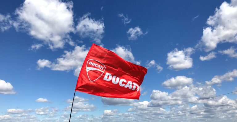 flag with logo